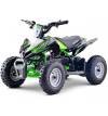 quad-kerox-e-rex-electrique-bw6-vert-3
